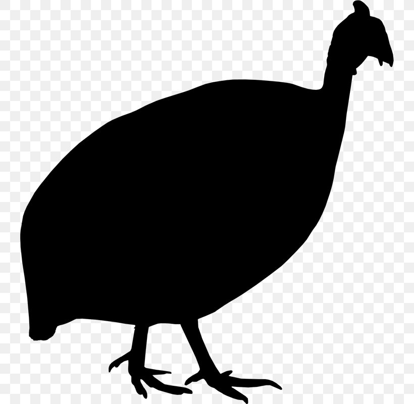 Chicken Bird Beak Wing Clip Art, PNG, 740x800px, Chicken, Beak, Bird, Cassowary, Chicken As Food Download Free