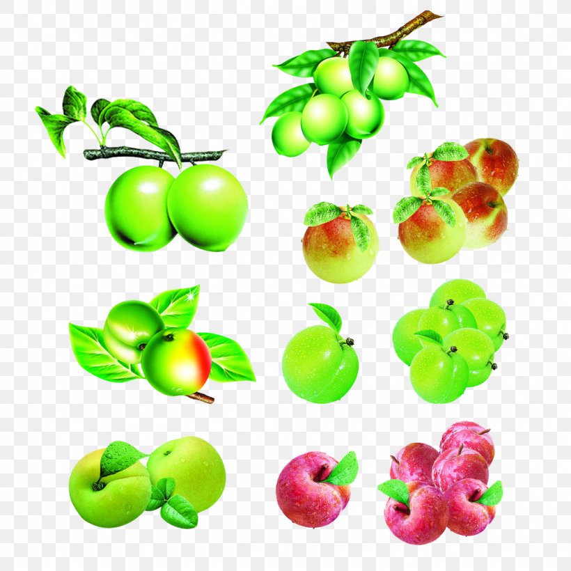 Download Computer File, PNG, 1024x1024px, Plum Blossom, Apple, Diet Food, Food, Fruit Download Free