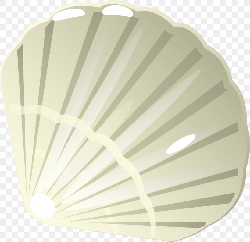 Euclidean Vector Seashell, PNG, 1176x1140px, Seashell, Animation, Artworks, Decorative Fan, Element Download Free