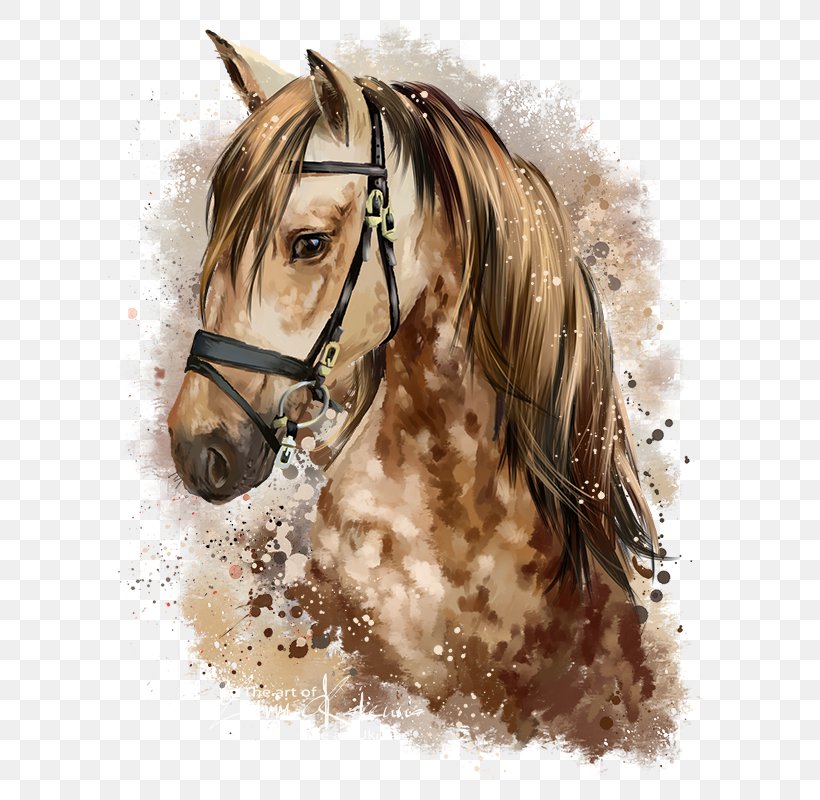 Horse Pony Watercolor Painting Drawing, PNG, 634x800px, Horse, Art