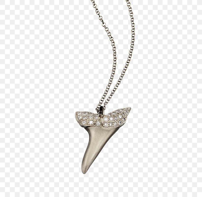 Charms & Pendants Body Jewellery Necklace, PNG, 800x800px, Charms Pendants, Body Jewellery, Body Jewelry, Chain, Jewellery Download Free