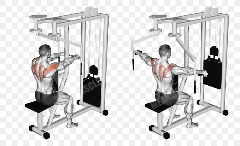 Machine Fly Exercise Front Raise Muscle, PNG, 1024x626px, Machine Fly, Arm, Barbell, Deltoid Muscle, Dumbbell Download Free