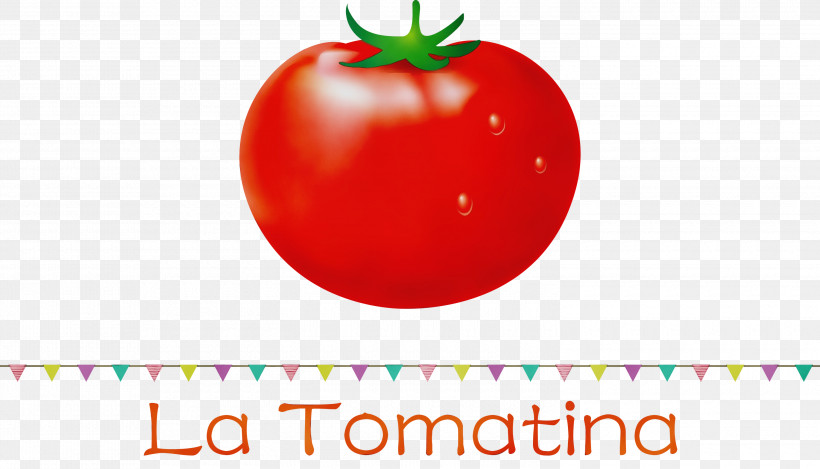 Tomato, PNG, 3000x1718px, La Tomatina, Apple, Local Food, Meter, Natural Food Download Free