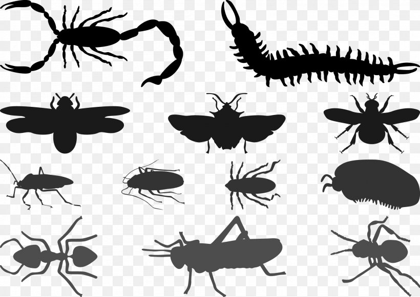 Beetle Cockroach Silhouette Butterfly, PNG, 2206x1565px, Beetle, Arthropod, Black And White, Butterfly, Centipedes Download Free