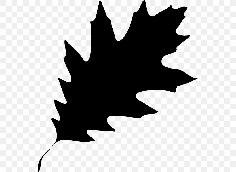 Clip Art Illustration Image Vector Graphics, PNG, 558x597px, Royaltyfree, Blackandwhite, Holly, Leaf, Logo Download Free