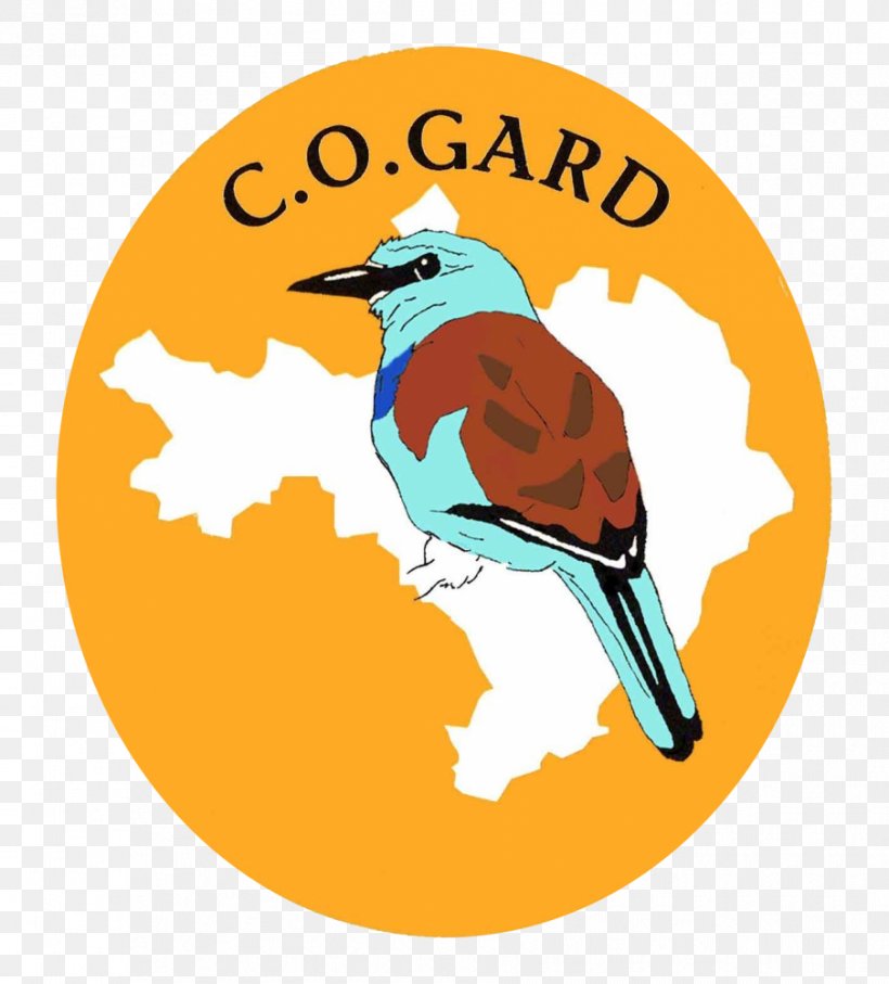 COGard Fauna Groupe Ornithologique Du Roussillon Voluntary Association Natural Environment, PNG, 904x1000px, Fauna, Animal, Beak, Biodiversity, Bird Download Free