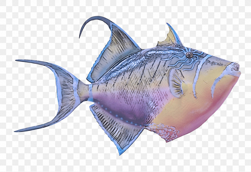 Fish Fish Triggerfish Deep Sea Fish Fin, PNG, 2121x1452px, Fish, Deep Sea Fish, Fin, Triggerfish Download Free