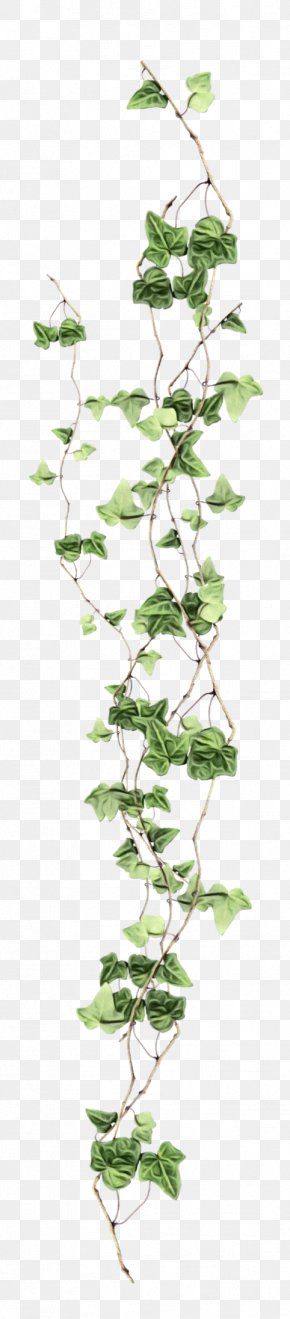 Sprite Scrolling Plant Ivy, PNG, 512x512px, 2d Computer Graphics ...