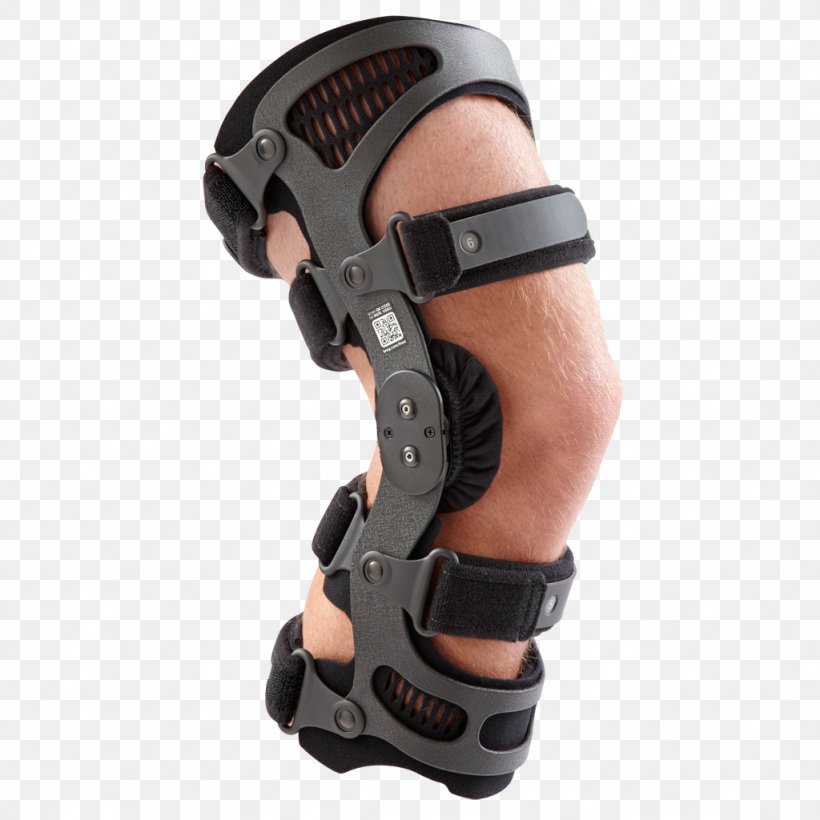 Knee Osteoarthritis Knee Osteoarthritis Anterior Cruciate Ligament Knee Pain, PNG, 1024x1024px, Osteoarthritis, Anterior Cruciate Ligament, Arm, Breg Inc, Gun Accessory Download Free