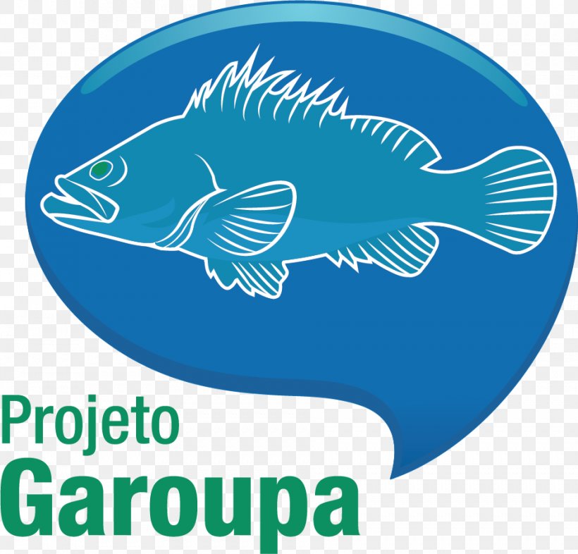 Projeto Garoupa Gulf Grouper Fish Red Grouper, PNG, 943x905px, Grouper, Aqua, Area, Biology, Blue Download Free