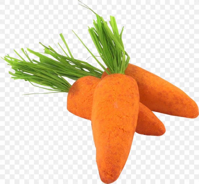 Baby Carrot Vegetable Vegetarian Cuisine Food, PNG, 2526x2344px, Carrot, Aubergines, Baby Carrot, Cabbage, Daucus Download Free