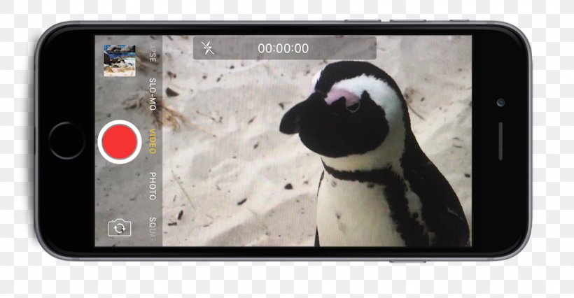 IPhone Smartphone Text Messaging Video, PNG, 1024x533px, Iphone, Closeup, Ebook, Electronics, Film Download Free