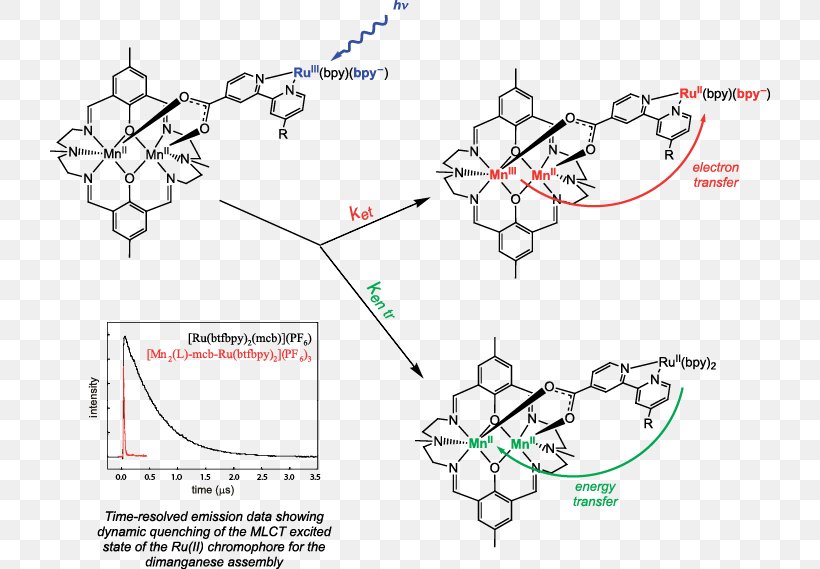 Michigan State University /m/02csf Chemistry Electromagnetism Transition Metal, PNG, 720x569px, Michigan State University, Area, Chemistry, Coordination Complex, Diagram Download Free