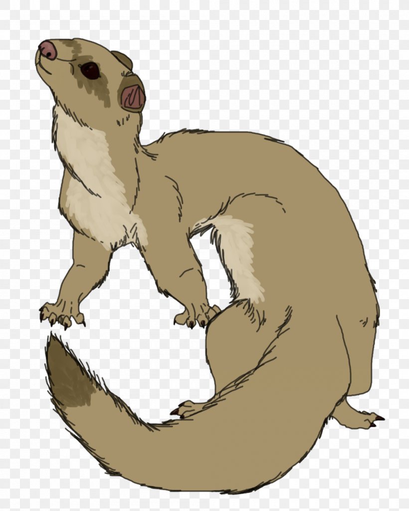 Whiskers Ferret Cat Weasels Snake, PNG, 1000x1250px, Whiskers, Animal, Art, Carnivoran, Cat Download Free