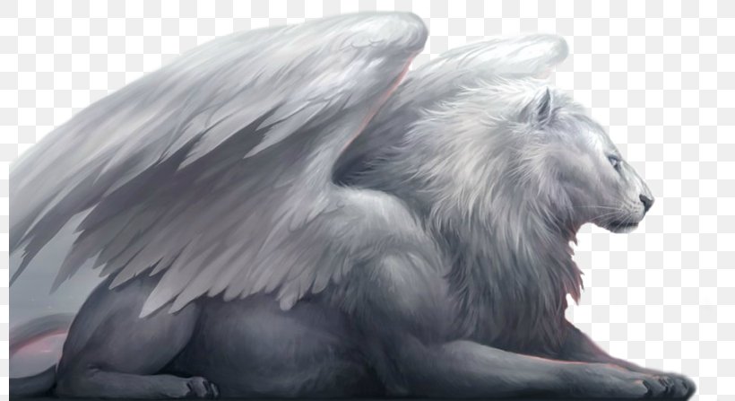 Winged Lion White Lion Legendary Creature Dragon, PNG, 800x447px, Lion, Art, Deviantart, Dragon, Fantastic Art Download Free