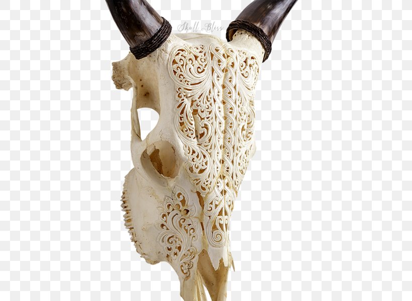 Animal Skulls Horn Head Cattle, PNG, 600x600px, Skull, Animal, Animal Skulls, Balinese People, Bone Download Free