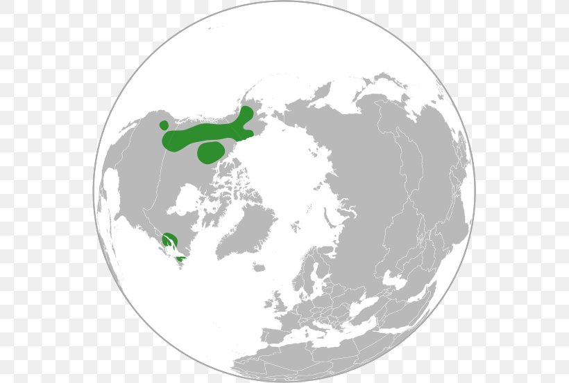 Arctic United States North Pole Earth, PNG, 553x553px, Arctic, Earth, Green, Location, Map Download Free
