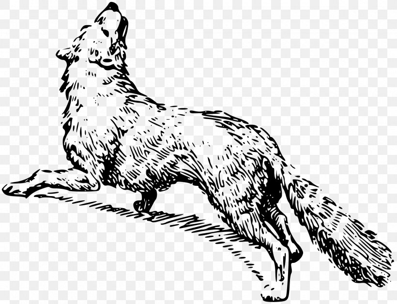 Drawing Black And White Clip Art, PNG, 2400x1840px, Drawing, Animal Figure, Arctic Fox, Black And White, Carnivoran Download Free