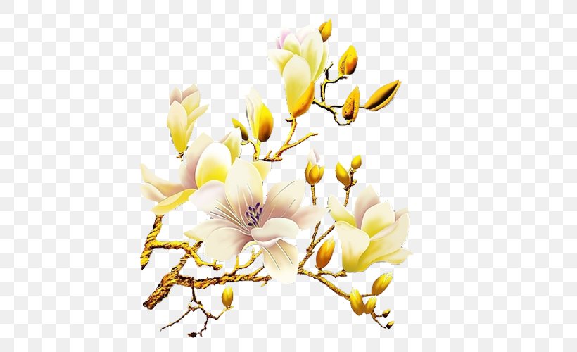 White Flower Orchids, PNG, 500x500px, White, Blossom, Branch, Computer Software, Cut Flowers Download Free