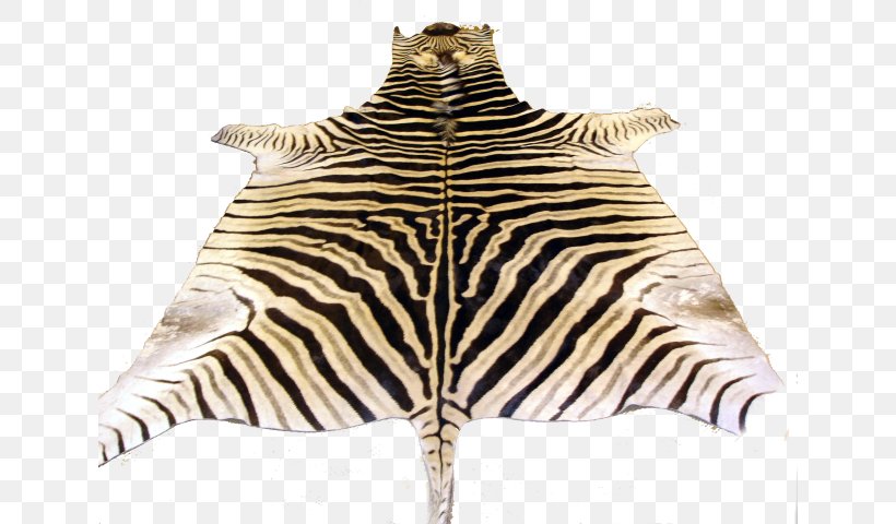 Zebra Fur Neck Terrestrial Animal Wildlife, PNG, 640x480px, Zebra, Animal, Fur, Horse Like Mammal, Mammal Download Free