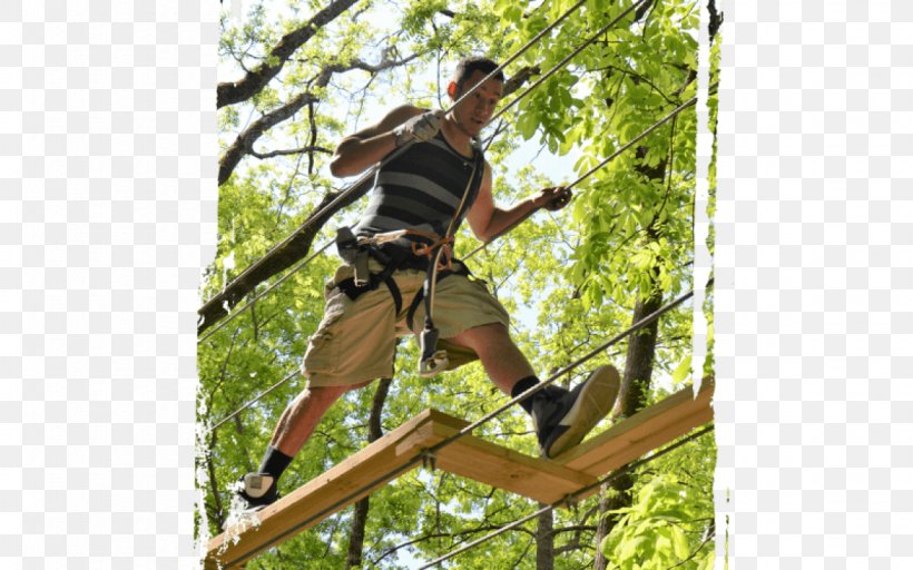 Bristol Tree Sevierville Ropes Course Adventure, PNG, 1152x720px, Bristol, Adventure, Jungle, Location, Map Download Free