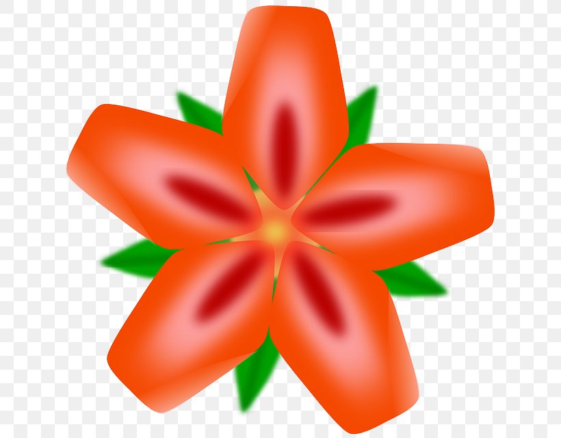 Hawaii Clip Art, PNG, 626x640px, Hawaii, Drawing, Flower, Flowering Plant, Fruit Download Free