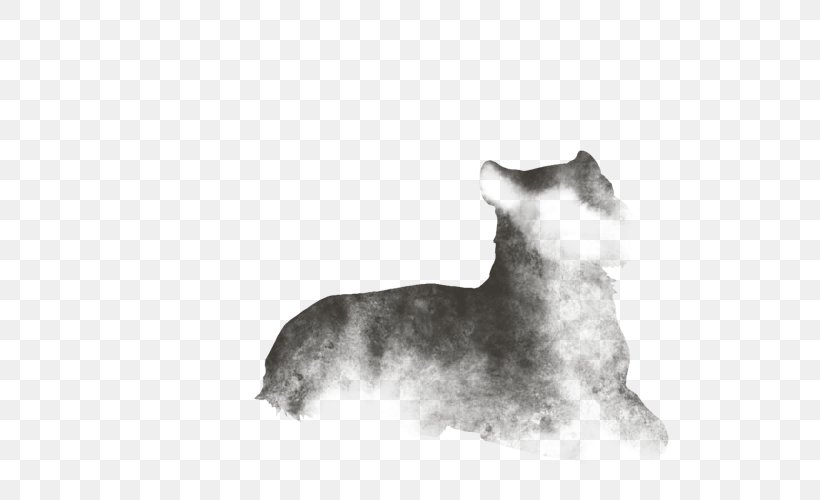 Miniature Schnauzer Cairn Terrier Puppy Whiskers Dog Breed, PNG, 640x500px, Miniature Schnauzer, Black And White, Breed, Cairn, Cairn Terrier Download Free