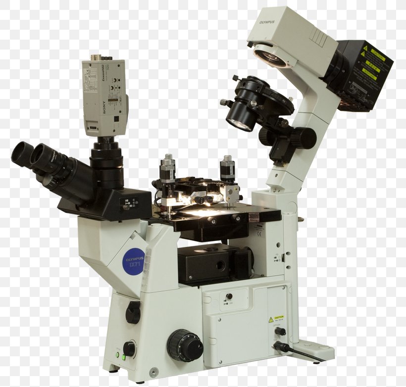 Scanning Tunneling Microscope Scanning Probe Microscopy Atomic Force Microscopy Optical Microscope, PNG, 800x782px, Microscope, Angular Resolution, Atomic Force Microscopy, Electron Microscope, Hardware Download Free
