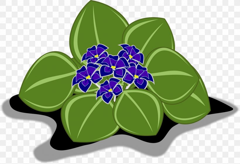 African Violets Clip Art, PNG, 1280x878px, Violet, African Violets, Flora, Floral Design, Flower Download Free