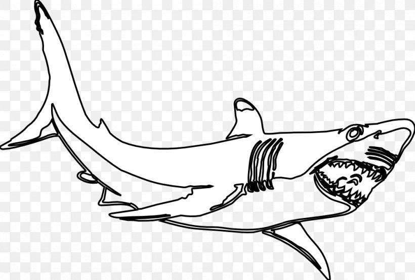 Great White Shark Black And White Clip Art, PNG, 999x677px, Shark, Area, Arm, Art, Artwork Download Free