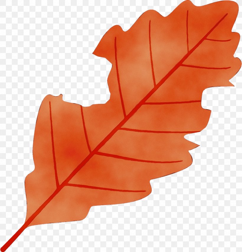 Maple Leaf, PNG, 980x1024px, Watercolor, Black Maple, Leaf, Maple Leaf, Paint Download Free
