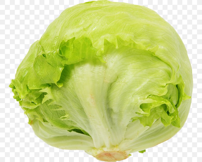 Romaine Lettuce Vegetable Salad Cooking, PNG, 750x660px, Romaine Lettuce, Cabbage, Cooking, Cruciferous Vegetables, Cuisine Download Free