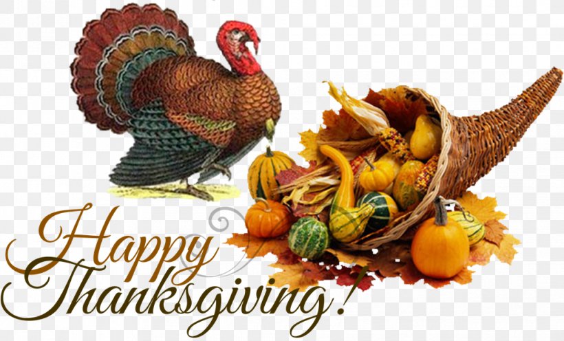 Turkey Thanksgiving Dinner Public Holiday, PNG, 1018x616px, Turkey, Centrepiece, Festival, Food, Holiday Download Free