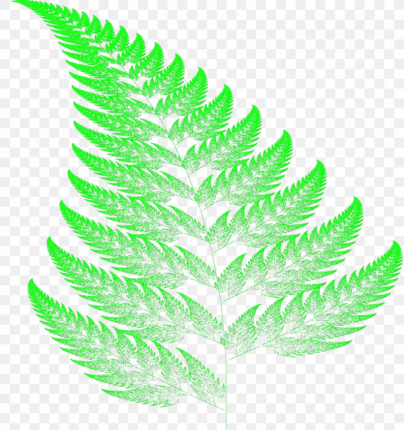 Fern, PNG, 960x1024px, Watercolor, Biology, Fern, Leaf, Line Download Free