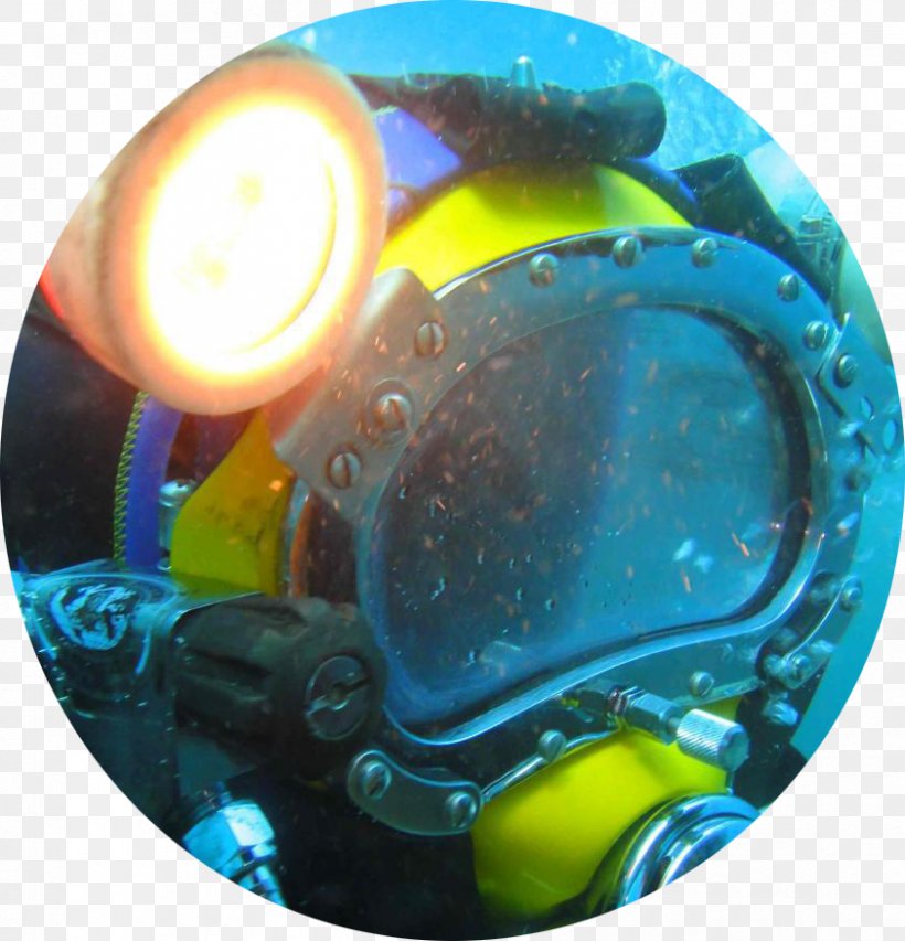 Underwater Diving مدرسه غواصی قشم Marine Biology Commercial Offshore Diving, PNG, 842x876px, Underwater Diving, Biology, Business, Commercial Offshore Diving, Marine Biology Download Free