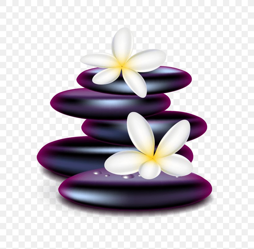 Vector Graphics Clip Art Illustration Royalty-free, PNG, 804x804px, Royaltyfree, Flower, Lilac, Petal, Purple Download Free