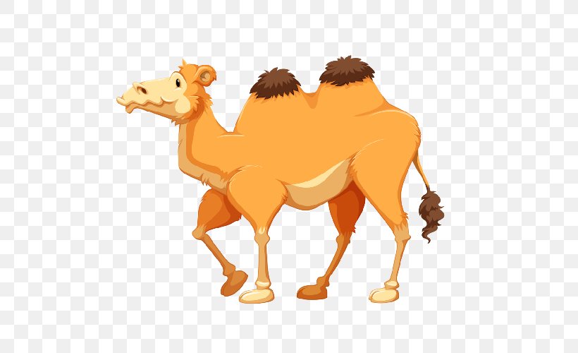 Vector Graphics Clip Art Royalty-free Illustration Image, PNG, 500x500px, Royaltyfree, Animal Figure, Arabian Camel, Camel, Camel Like Mammal Download Free