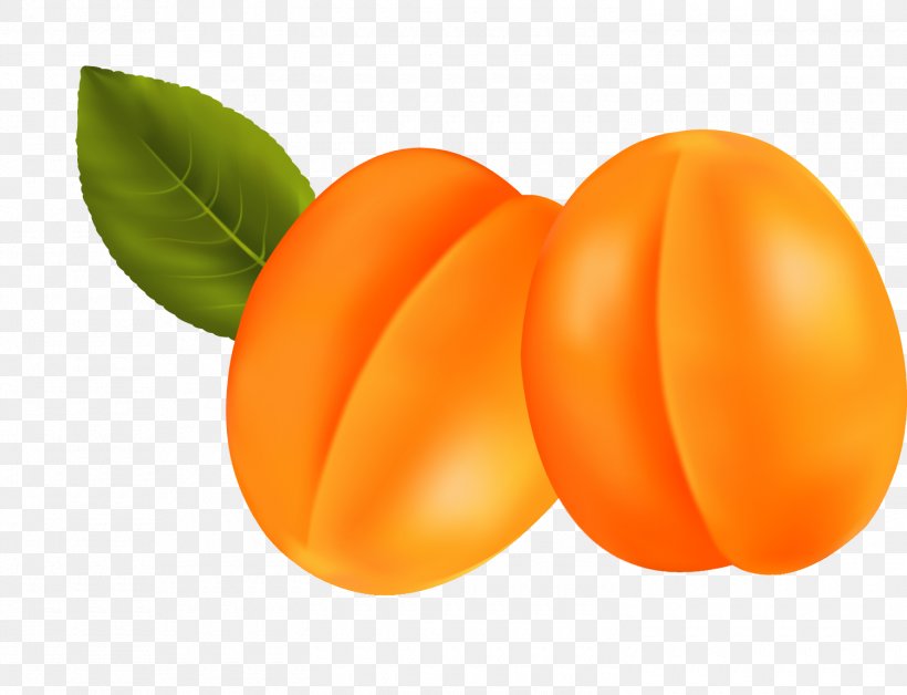 Apricot Vegetarian Cuisine Clip Art, PNG, 1500x1150px, Apricot, Citrus, Drawing, Food, Fruit Download Free