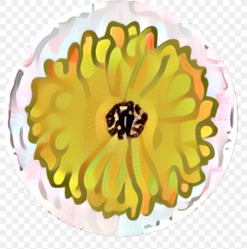 Flowers Background, PNG, 1021x1026px, Transvaal Daisy, Cut Flowers, Daisy Family, Dishware, Flower Download Free
