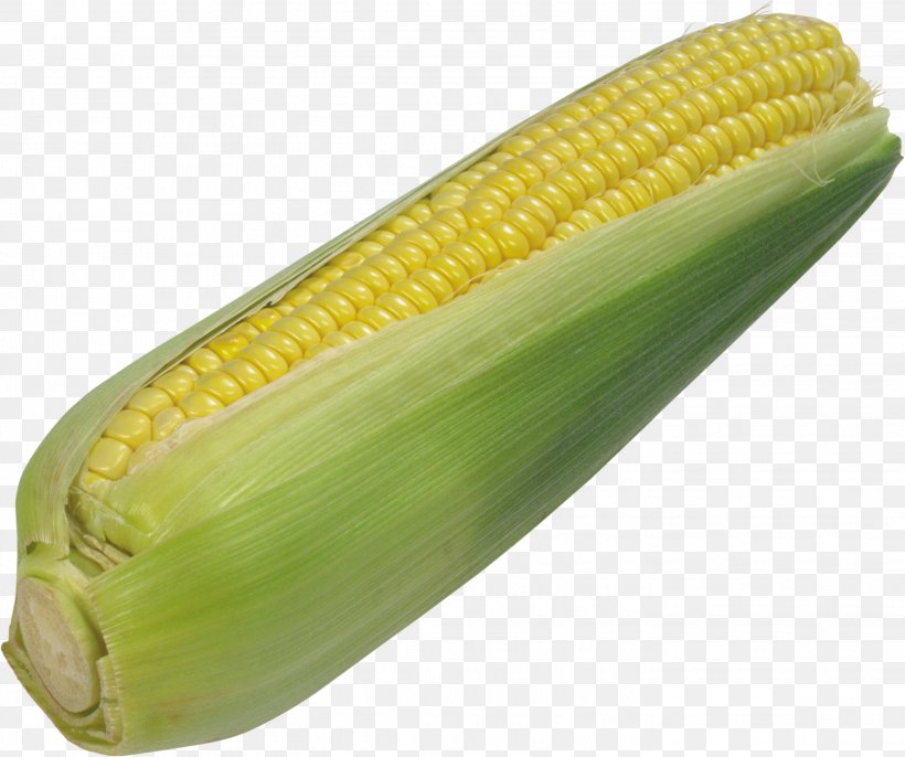 Maize Clip Art, PNG, 2843x2381px, Flint Corn, Commodity, Corn Kernels, Corn On The Cob, Dent Corn Download Free