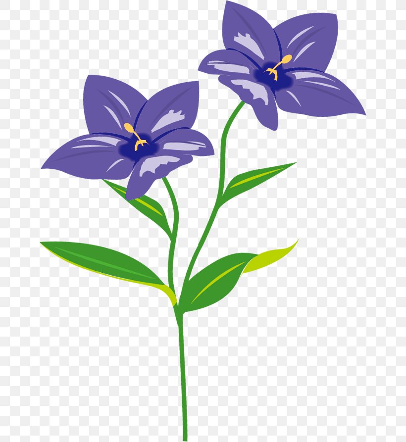 Plant Stem Herbaceous Plant Clip Art, PNG, 662x893px, Plant Stem, Flora, Flower, Flowering Plant, Herbaceous Plant Download Free