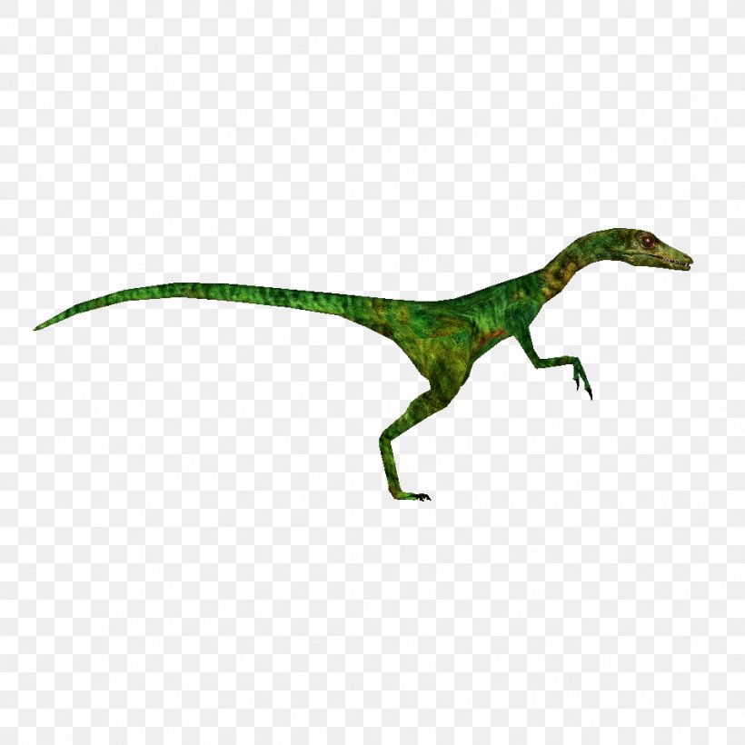 Procompsognathus The Lost World Velociraptor Dinosaur, PNG, 957x957px, Compsognathus, Animal, Animal Figure, Coelurosauria, Dinosaur Download Free