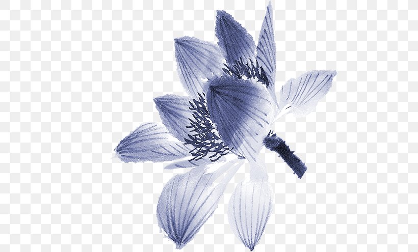 Computer File, PNG, 563x495px, Ink, Drawing, Flower, Petal, Photography Download Free