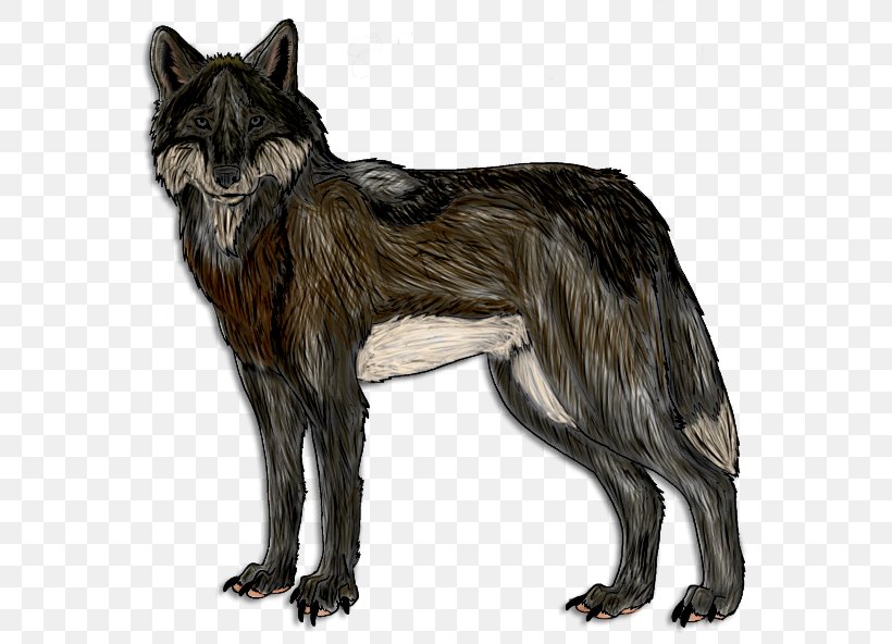 Gray Wolf Artist Coyote DeviantArt, PNG, 600x592px, Gray Wolf, Art, Artist, Carnivoran, Coyote Download Free
