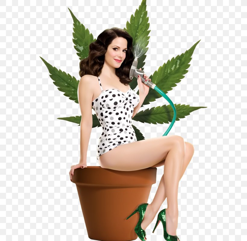Mary-Louise Parker Weeds Amy Gardner Nancy Botwin Television, PNG, 559x800px, Watercolor, Cartoon, Flower, Frame, Heart Download Free