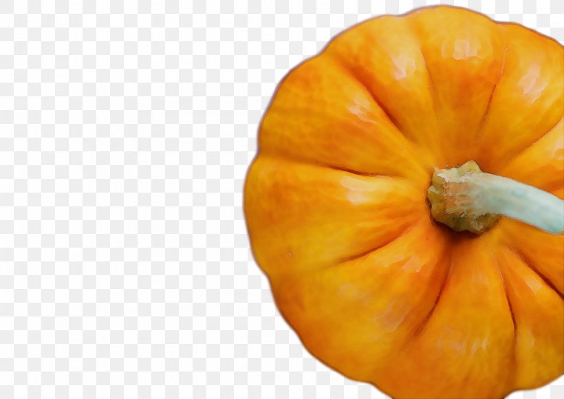 Orange, PNG, 1836x1300px, Watercolor, Calabaza, Cucurbita, Food, Gourd Download Free