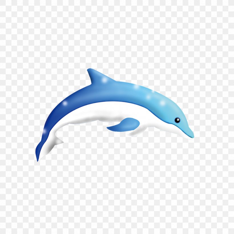 Common Bottlenose Dolphin Tucuxi Short-beaked Common Dolphin Porpoise, PNG, 1772x1772px, Common Bottlenose Dolphin, Azure, Beak, Blue, Cartoon Download Free