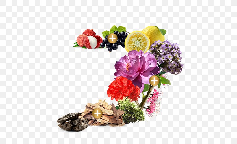Cut Flowers Perfume Fragrance Lamp Floral Design, PNG, 500x500px, Flower, Artificial Flower, Cut Flowers, Floral Design, Floristry Download Free