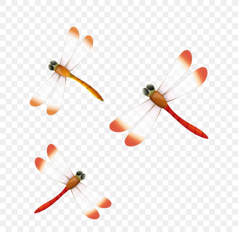Dragonfly Clip Art, PNG, 800x800px, Dragonfly, Blog, Drawing, Insect, Invertebrate Download Free