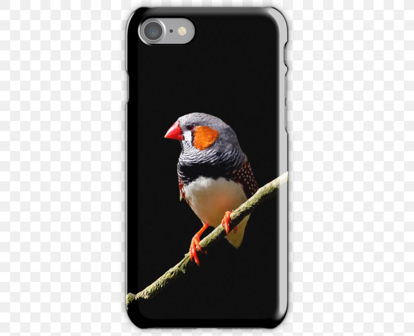 IPhone 5 IPhone 4 Mobile Phone Accessories Telephone IPhone 6S, PNG, 500x667px, Iphone 5, Apple, Beak, Bird, Finch Download Free